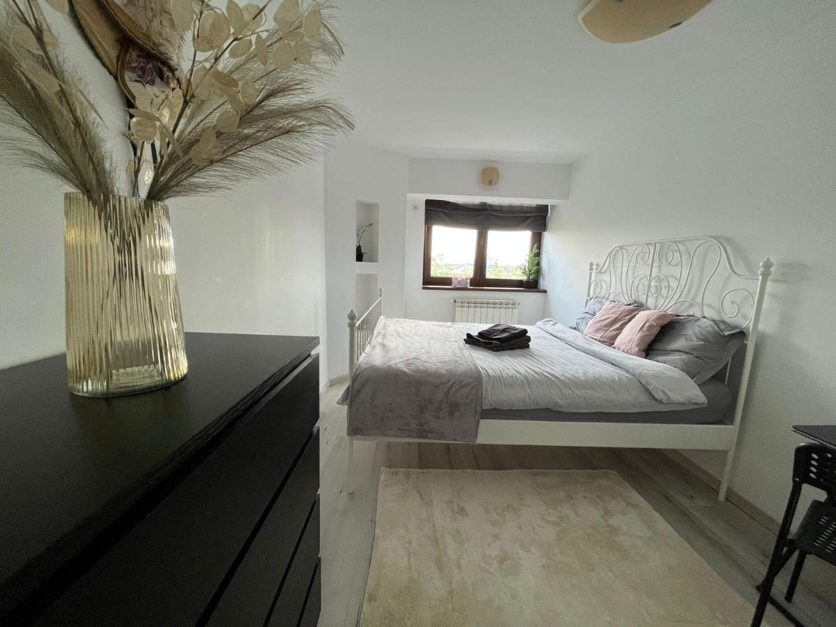 City Center Privat-Sauna Familyconcept Iasi Exteriör bild